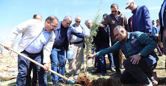 Adliye Personelinden Hatıra Ormanı