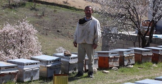 Siirtli Bal Üreticileri Veriminden Umutlu