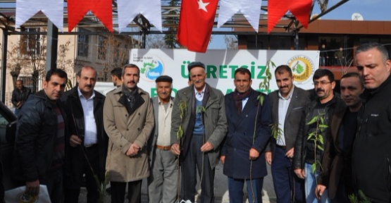 Eruh'ta Dağıtılan Bedava Fidanlara Yoğun İlgi