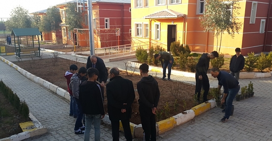 Siirt Çocuk Evleri Sitesinde Fidan Dikme Etkinliği Yapıldı