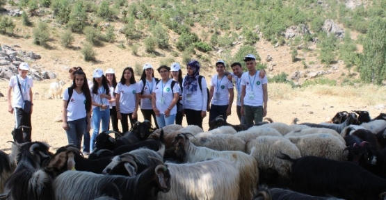 Keçi Deyip Geçme Bilim ve Sanattan Vazgeçme