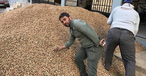 Siirt'in Yeni Gözbebeği, Mazı