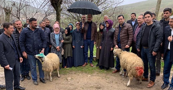 Kurtalanlı Genç Çiftçilere Küçükbaş Hayvan Dağıtımı Yapıldı