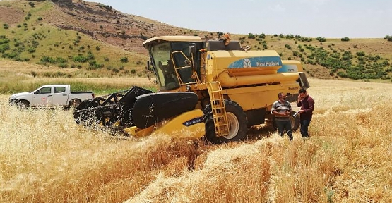 2019 Üretim Yılı Biçerdöver Kontrolleri Başladı