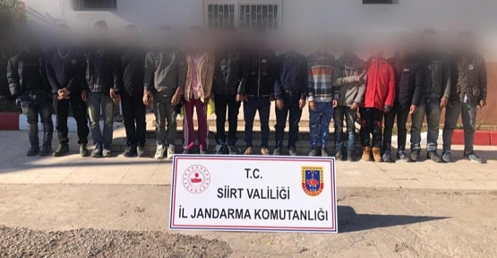 Siirt'te 15 Bangladeş Uyruklu Düzensiz Göçmen Yakalandı