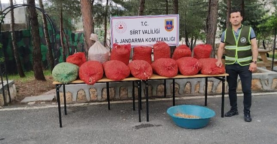 Biyolojik Çeşitliliği Tahrip Eden Zanlı Suçüstü Yakalandı