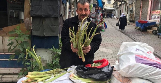 REBES, IŞKIN, YAYLA MUZU PİYASADA