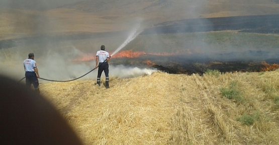 Siirt İl Mahalli Çevre Kurulu Kararları