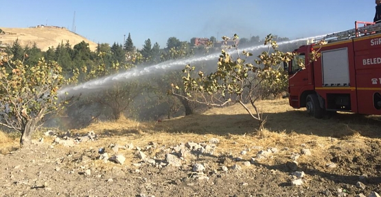 Siirt'te Fıstık Bahçesinde Çıkan Yangın Kontrol Altına Alındı