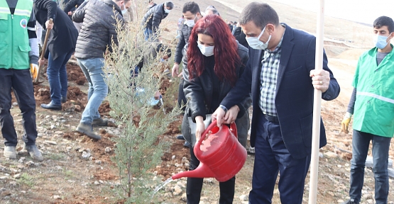 Polis Özel Harekât Eğitim Atış Poligonu Alanında 5 Bin Fidan Toprakla Buluşturuldu