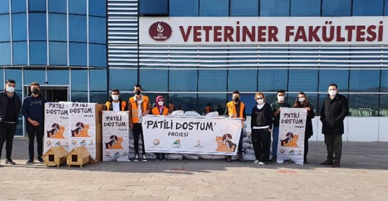 Siirt Üniversitesi Patili Dostum Projesini Uygulamaya Başladı