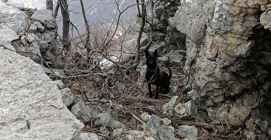 Bölücü Terör Örgütüne Ait Basma Düzenekli 2 Adet El Yapımı Patlayıcı (Eyp) Ele Geçirildi