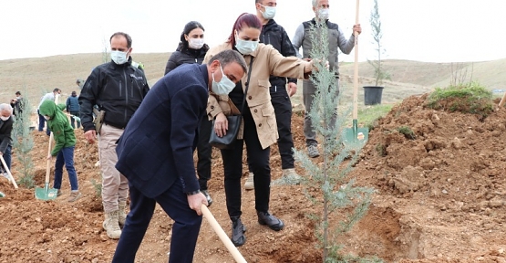 Siirt’te Orman Haftası Kapsamında Üç Bin Fidan Toprakla Buluşturuldu