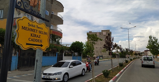 Şehit Savcı Mehmet Selim Kiraz'ın Adı Memleketi Siirt'te Yaşatılacak