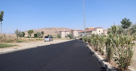 Siirt Belediyesi, Siirt Üniversitesi Kezer Yerleşkesinde Asfalt Çalışmalarına Başladı