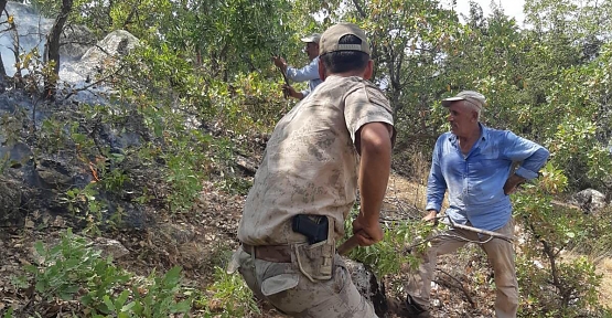 PERVARİ VE TİLLO İLÇE SINIRINDAKİ ORMAN YANGINI KONTROL ALTINA ALINDI, SOĞUTMA ÇALIŞMALARI DEVAM EDİYOR