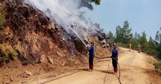 Siirtli İtfaiyeciler Antalya/Manavgat’ta Alevlere Karşı Zamanla Yarışıyor