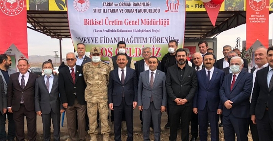 Siirt'te 360 Üreticiye 2 Milyon 78 Bin TL Tutarında Fidan ve Tohum Dağıtıldı