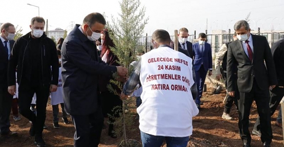 Vali Hacıbektaşoğlu, Öğretmenler İçin Oluşturulan Hatıra Ormanında Fidan Dikti