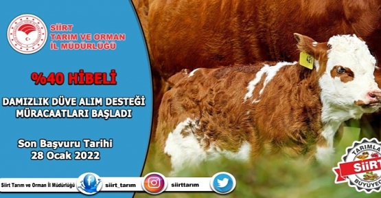 2021 Yılı % 40 Hibeli Düve Alımı Desteklenmesi Başvuruları Başladı