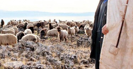 Kayalıklardan Düşen 15 Yaşındaki Çoban Hayatını Kaybetti