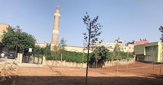 Tarihi Ulu Camii Etrafındaki Geçici Peyzaj  Çalışmaları Tamamlandı