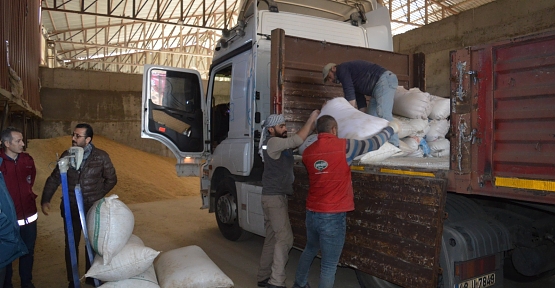 Siirt’ten Deprem Bölgelerindeki Hayvanlar İçin 2 Tır Yem Gönderildi