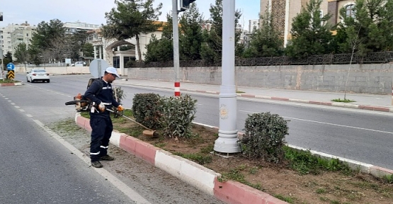 Siirt'te Park ve Bahçelerde Temizlik ve Bakım Çalışmaları Başlatıldı