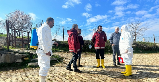 Siirt’te Herhangi Bir Şap Hastalığı Vakası Tespit Edilmedi