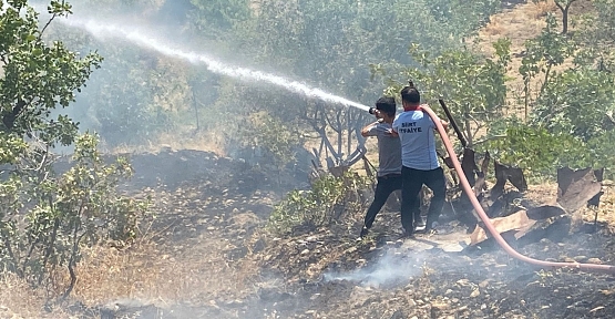 Siirt'te Fıstık Bahçesinde Çıkan Yangın Güçlükle Söndürüldü!