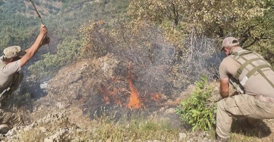 Siirt'in Pervari İlçesinde Ormanlık Alanda Çıkan Yangın 52 Saat Sonra Kontrol Altına Alındı