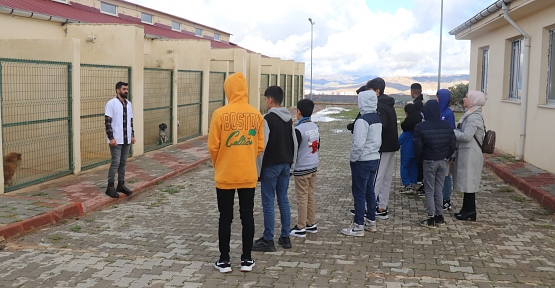 Siirt Sevgi Evleri’nde Kalan Öğrenciler Hayvan Barınağını Gezdi