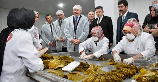 Vali Kızılkaya; ''Üreten Eller Kadın Kooperatifi Tayfi Üzüm Yaprağı Salamura Tesisi''ni Ziyaret Etti