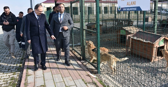 Vali Kızılkaya, Sokak Hayvanları Bakım ve Rehabilitasyon Merkezi'ni Ziyaret Etti