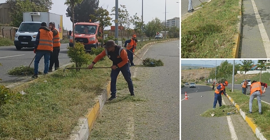 Siirt Karayolları 94. Şube Şefliğinden Temizlik Çalışmaları