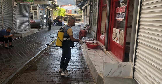 Sinek ve Haşerelere Karşı Yoğun İlaçlama Çalışmaları