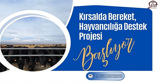 Siirt’te “Kırsalda Bereket Hayvancılığa Destek” Proje Başvuruları Başladı