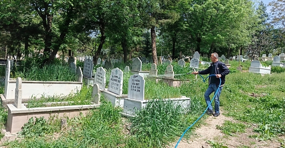 Siirt’te Mezarlıklarda İlaçlama Çalışmaları Başladı