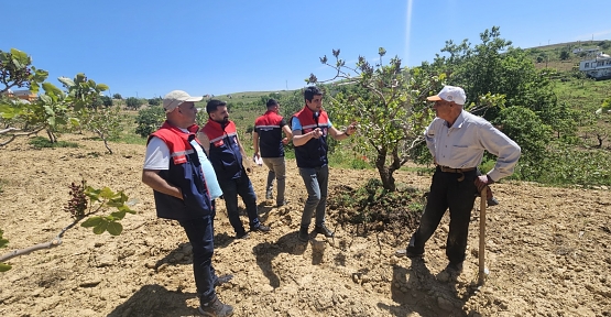 Siirt’te Dolu ve Şiddetli Yağış Sonrası Saha Taramaları Devam Ediyor