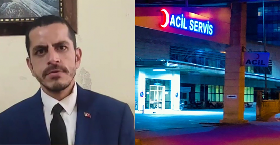 Siirt’in “Polat Alemdar”ı Otomobil Çarpması Sonucu Yaralandı