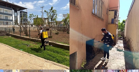 Siirt Belediyesi’nden Haşereyle Mücadele ve Temizlik Seferberliği