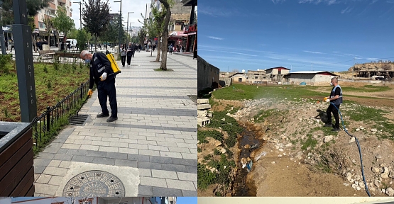 Siirt Belediyesi’nden Çevre Temizliği Seferberliği