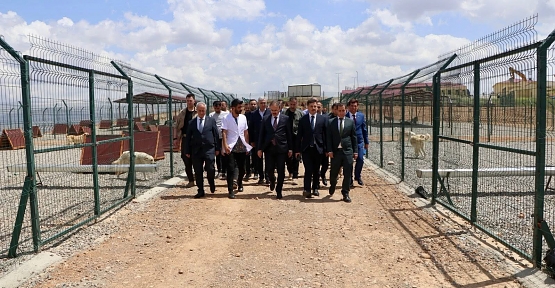Vali Dr. Kemal Kızılkaya’dan Hayvan Bakım Evi’ne Ziyaret: “Her Can Bizim İçin Kıymetlidir”