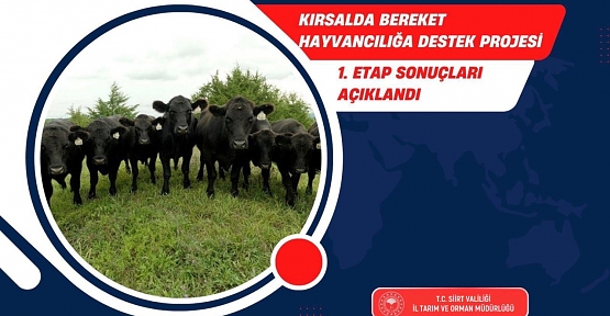 Siirt’te “Kırsalda Bereket Hayvancılığa Destek Projesi” 1. Etap Sonuçları Açıklandı