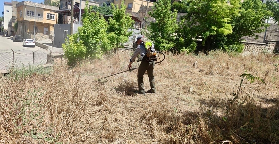 SİİRT BELEDİYESİ’NDEN MEZARLIKLARDA BAYRAM TEMİZLİĞİ