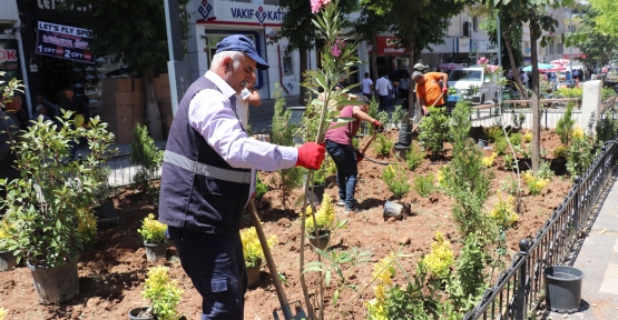 Güres Caddesi’nde Estetik ve Yeşil Dokunuş!