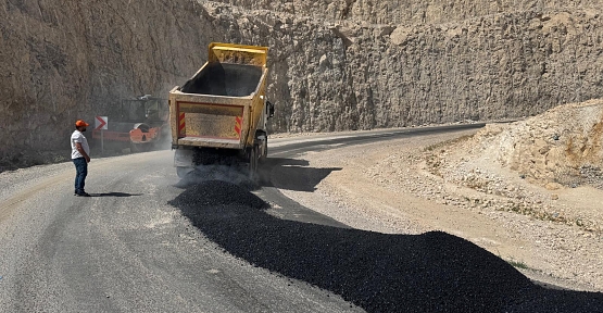 SİİRT ASFALT PELENTİ MEYVE VERMEYE BAŞLADI