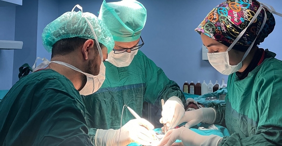 Diyarbakır’dan Mardin’e, Batman’dan Şırnak’a: Dr. Ömer Vural’a Yoğun İlgi