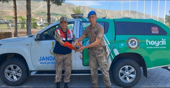 SİİRT’TE JANDARMA EKİPLERİNDEN YARALI KUŞLARA ŞEFKAT ELİ!