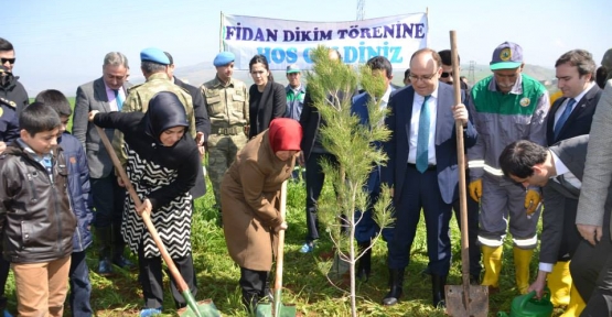 Bereket Ormanı Oluşturuldu